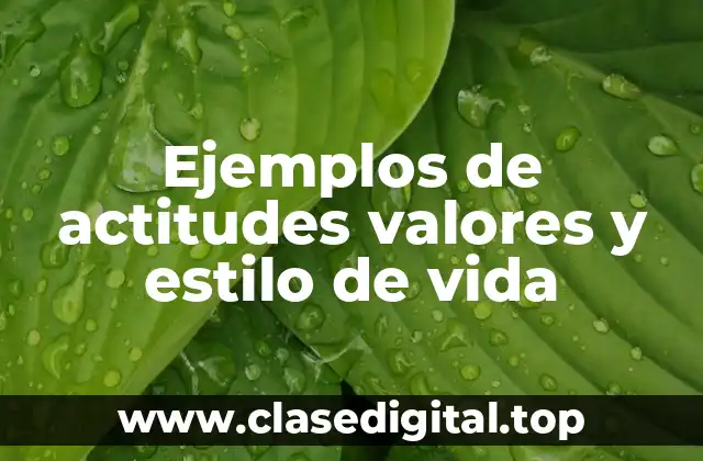 Ejemplos de actitudes valores y estilo de vida