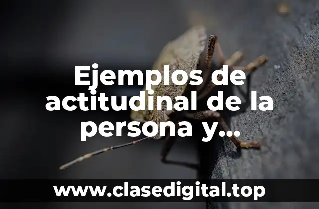 Ejemplos de actitudinal de la persona y Significado