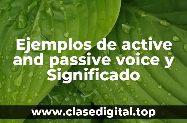 Ejemplos de active and passive voice y Significado