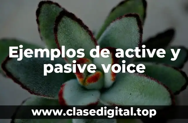Ejemplos de active y pasive voice