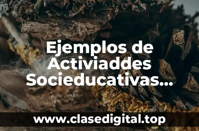 Ejemplos de Activiaddes Socieducativas sobre Actividades Extraescolares
