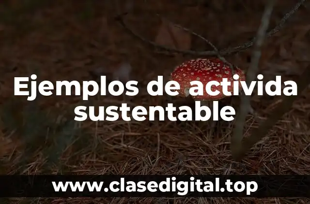 Ejemplos de activida sustentable