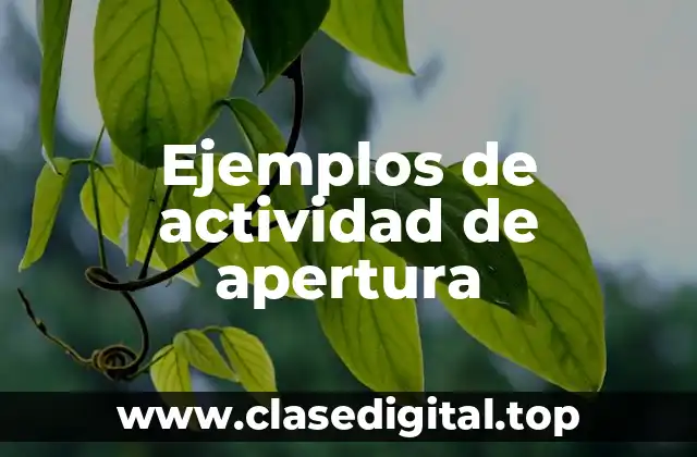 Ejemplos de actividad de apertura