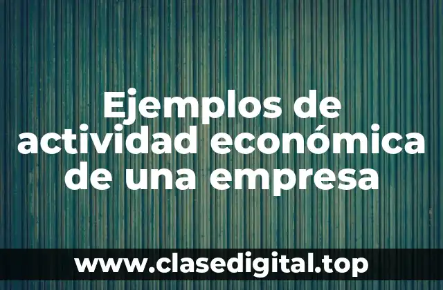Ejemplos de actividad económica de una empresa