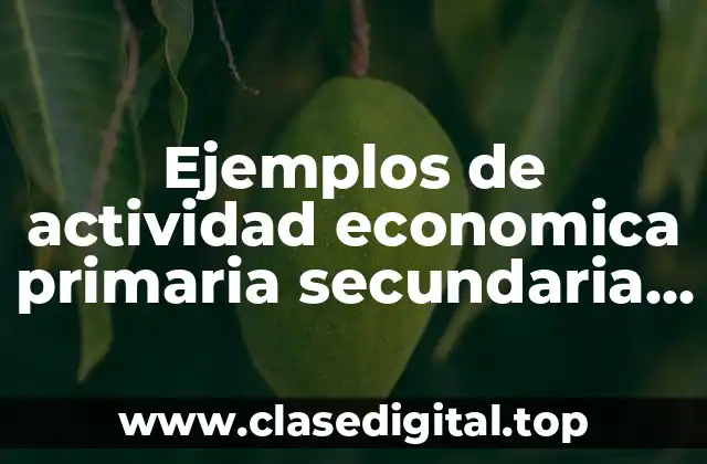 Ejemplos de actividad economica primaria secundaria y terciaria