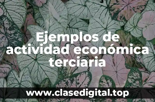 Ejemplos de actividad económica terciaria