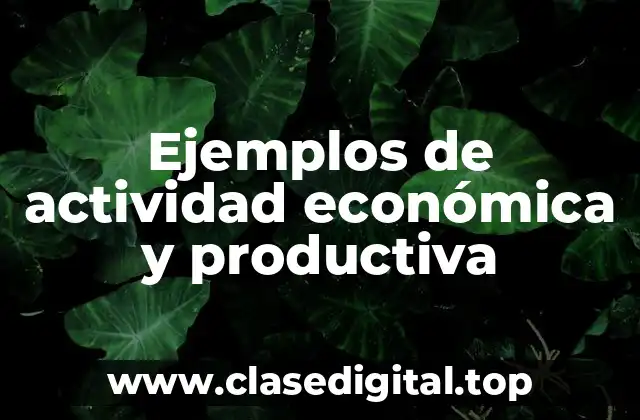 Ejemplos de actividad económica y productiva