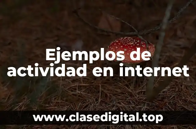 Ejemplos de actividad en internet