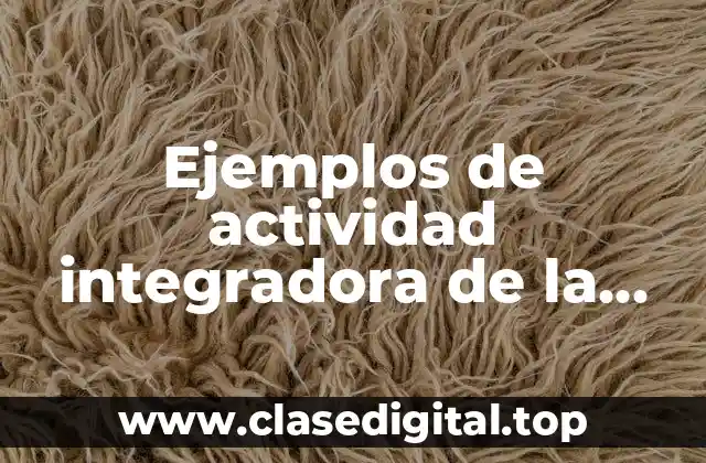 Ejemplos de actividad integradora de la guía didáctica