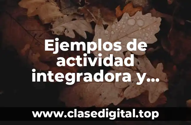 Ejemplos de actividad integradora y Significado