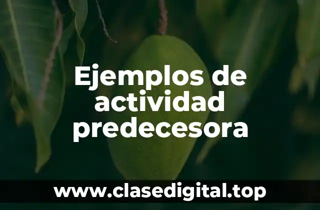 Ejemplos de actividad predecesora