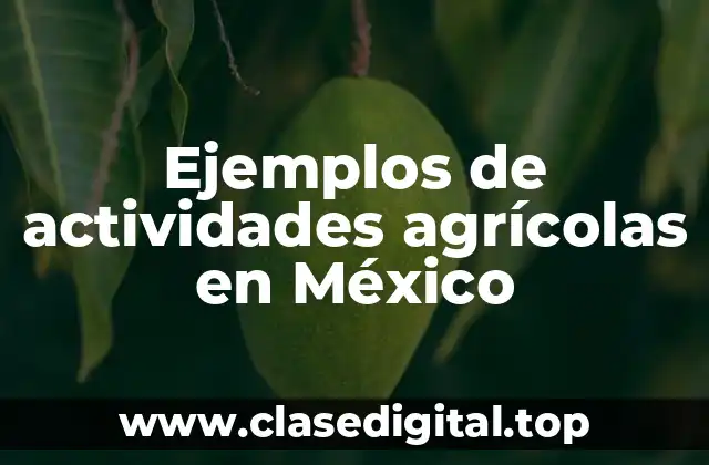 Ejemplos de actividades agrícolas en México