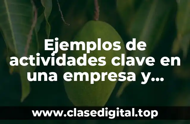 Ejemplos de actividades clave en una empresa y Significado