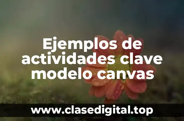 Ejemplos de actividades clave modelo canvas