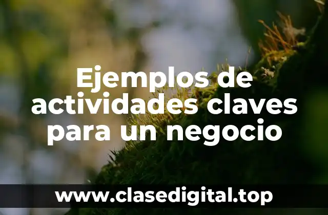 Ejemplos de actividades claves para un negocio