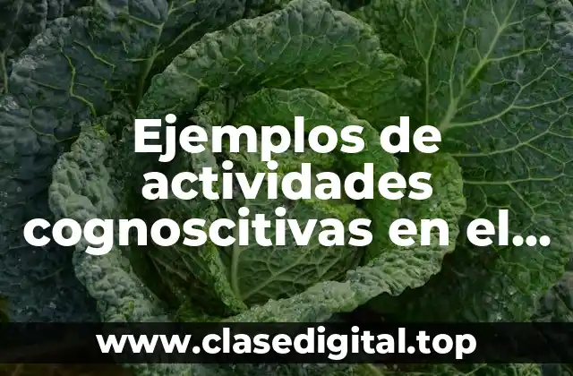 Ejemplos de actividades cognoscitivas en el aula y Significado