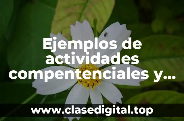 Ejemplos de actividades compentenciales y Significado