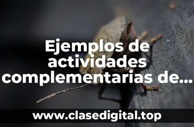 Ejemplos de actividades complementarias de español de telesecundaria