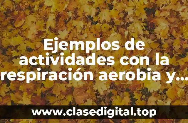 Ejemplos de actividades con la respiración aerobia y anaerobia y Significado