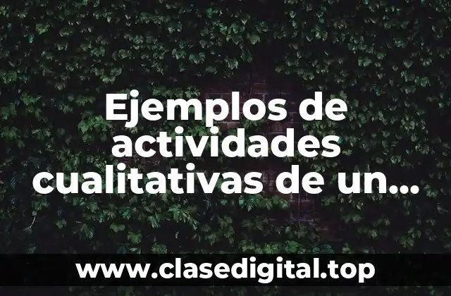 Ejemplos de actividades cualitativas de un administrador