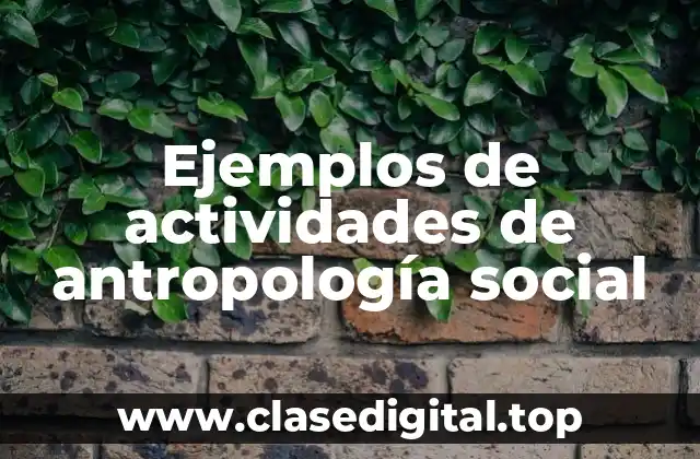 Ejemplos de actividades de antropología social