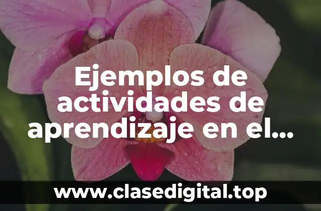 Ejemplos de actividades de aprendizaje en el aula