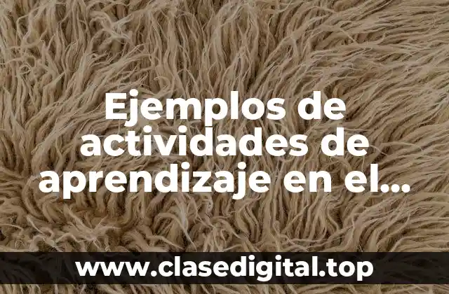 Ejemplos de actividades de aprendizaje en el aula preescolar