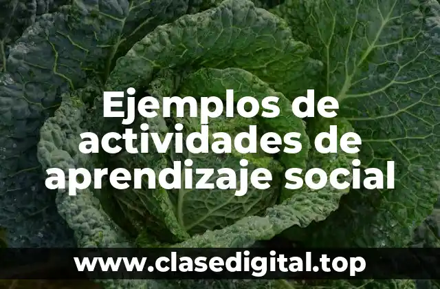 Ejemplos de actividades de aprendizaje social