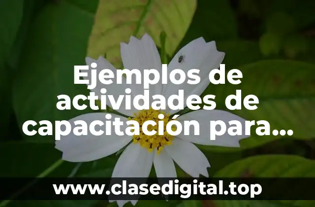 Ejemplos de actividades de capacitación para meseros