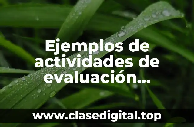 Ejemplos de actividades de evaluación didácticos