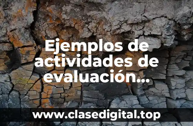 Ejemplos de actividades de evaluación educativa