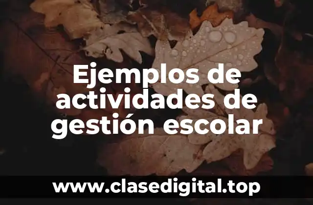 Ejemplos de actividades de gestión escolar