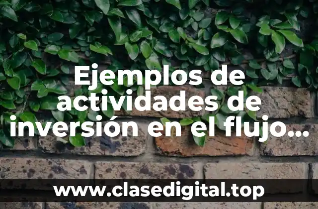 Ejemplos de actividades de inversión en el flujo de efectivo