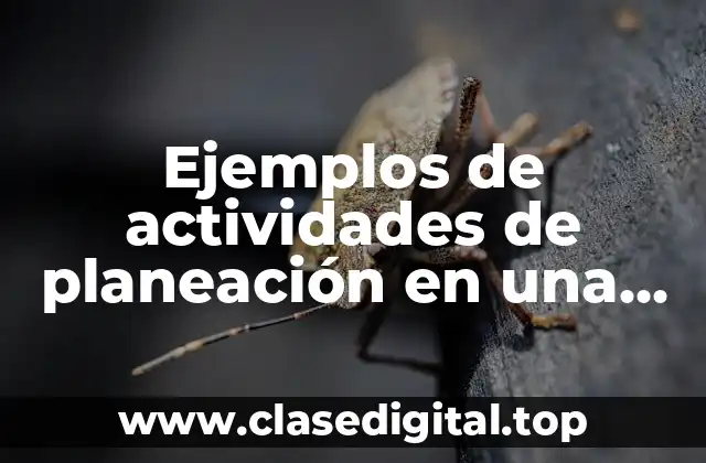 Ejemplos de actividades de planeación en una empresa