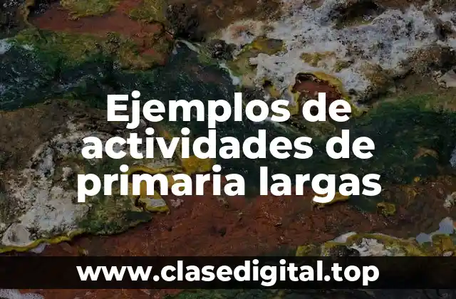 Ejemplos de actividades de primaria largas