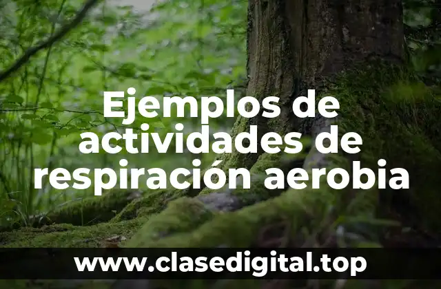 Ejemplos de actividades de respiración aerobia