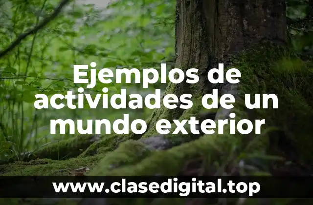 Ejemplos de actividades de un mundo exterior