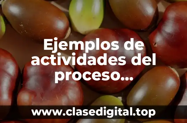 Ejemplos de actividades del proceso administrativo y Significado