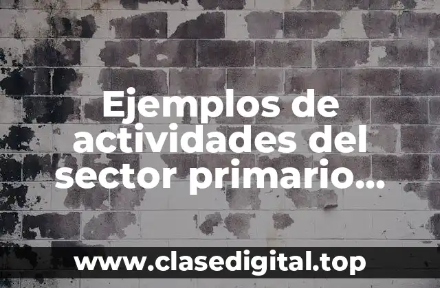 Ejemplos de actividades del sector primario económico