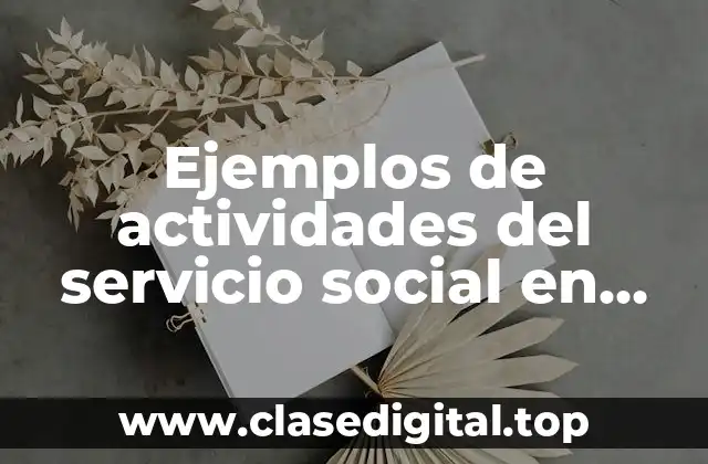 Ejemplos de actividades del servicio social en una escuela y Significado
