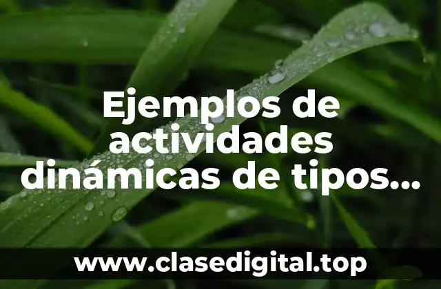 Ejemplos de actividades dinámicas de tipos de evaluación