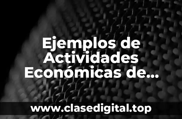 Ejemplos de Actividades Económicas de Runada