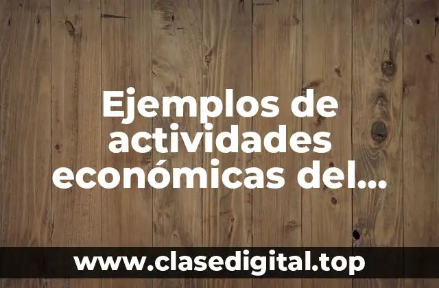 Ejemplos de actividades económicas del virreinato