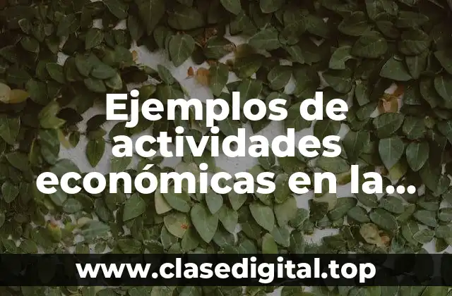 Ejemplos de actividades económicas en la comunidad y Significado