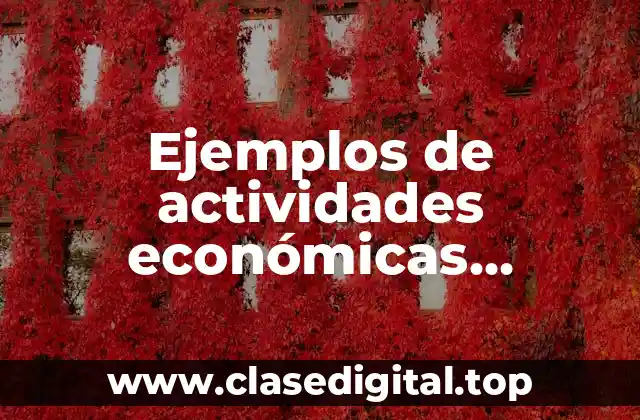 Ejemplos de actividades económicas preponderantes y Significado