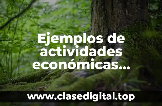 Ejemplos de actividades económicas primarias, secundarias y terciarias