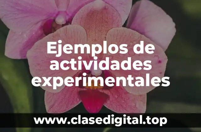Ejemplos de actividades experimentales
