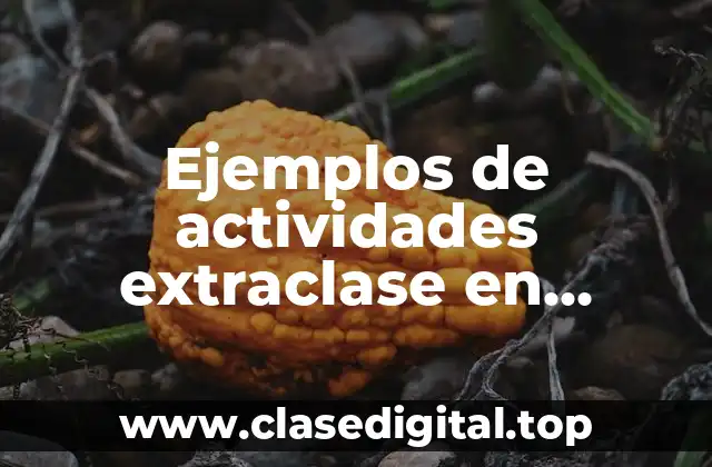 Ejemplos de actividades extraclase en español