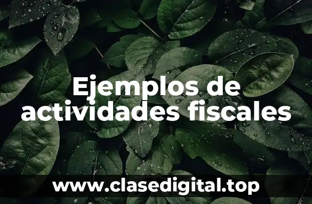 Ejemplos de actividades fiscales