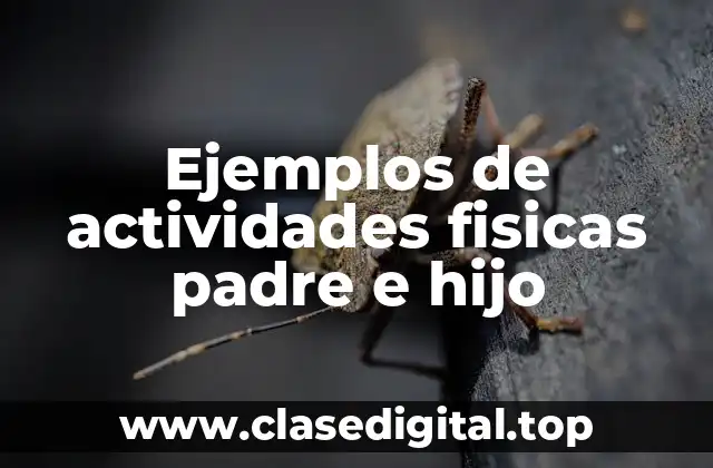 Ejemplos de actividades fisicas padre e hijo